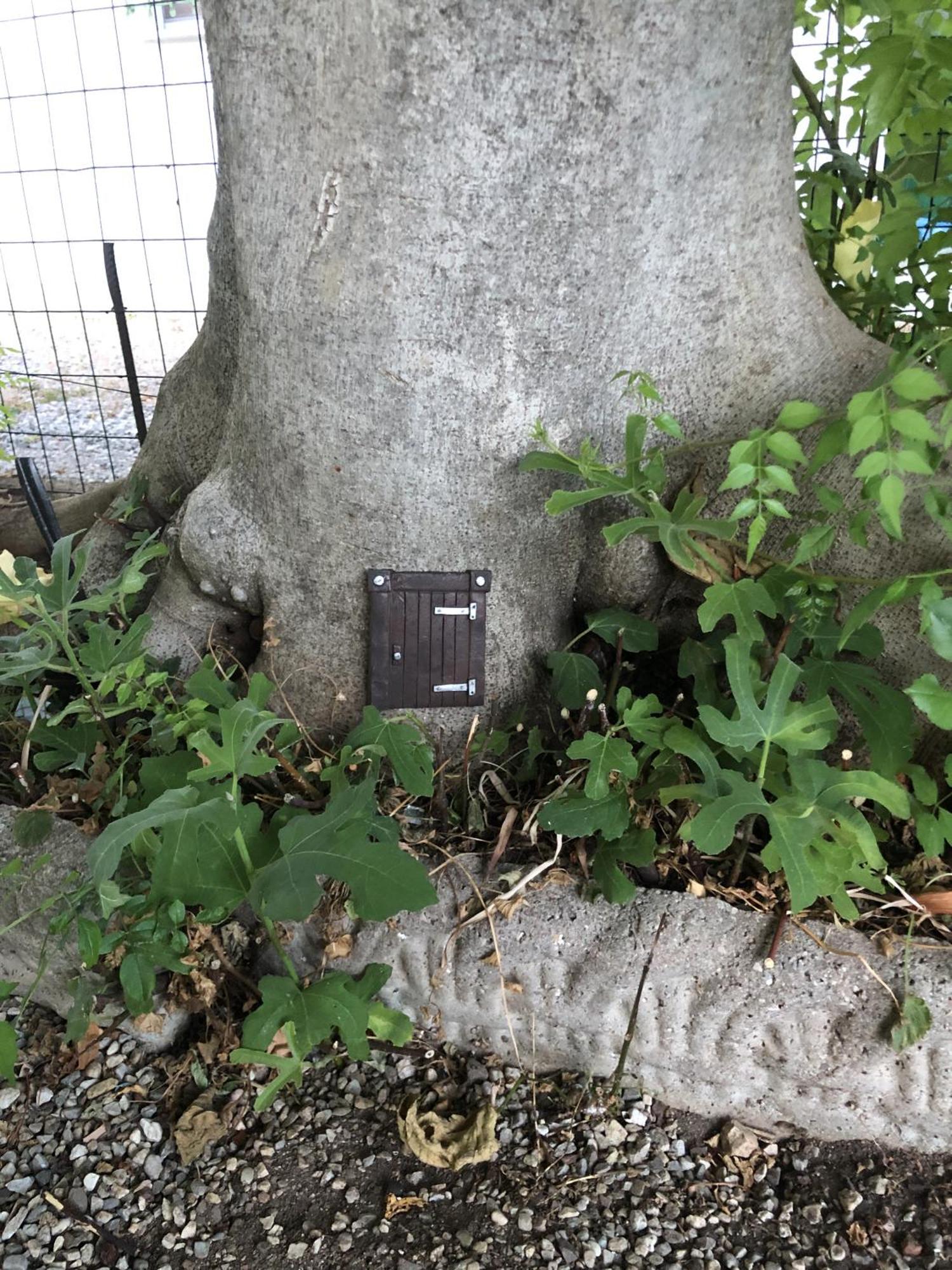Casa Sivori Sul Lago Di Garda Con Ampio Giardino Desenzano del Garda Exterior foto